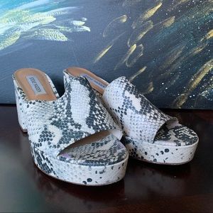 COMFY Steve Madden Platforms